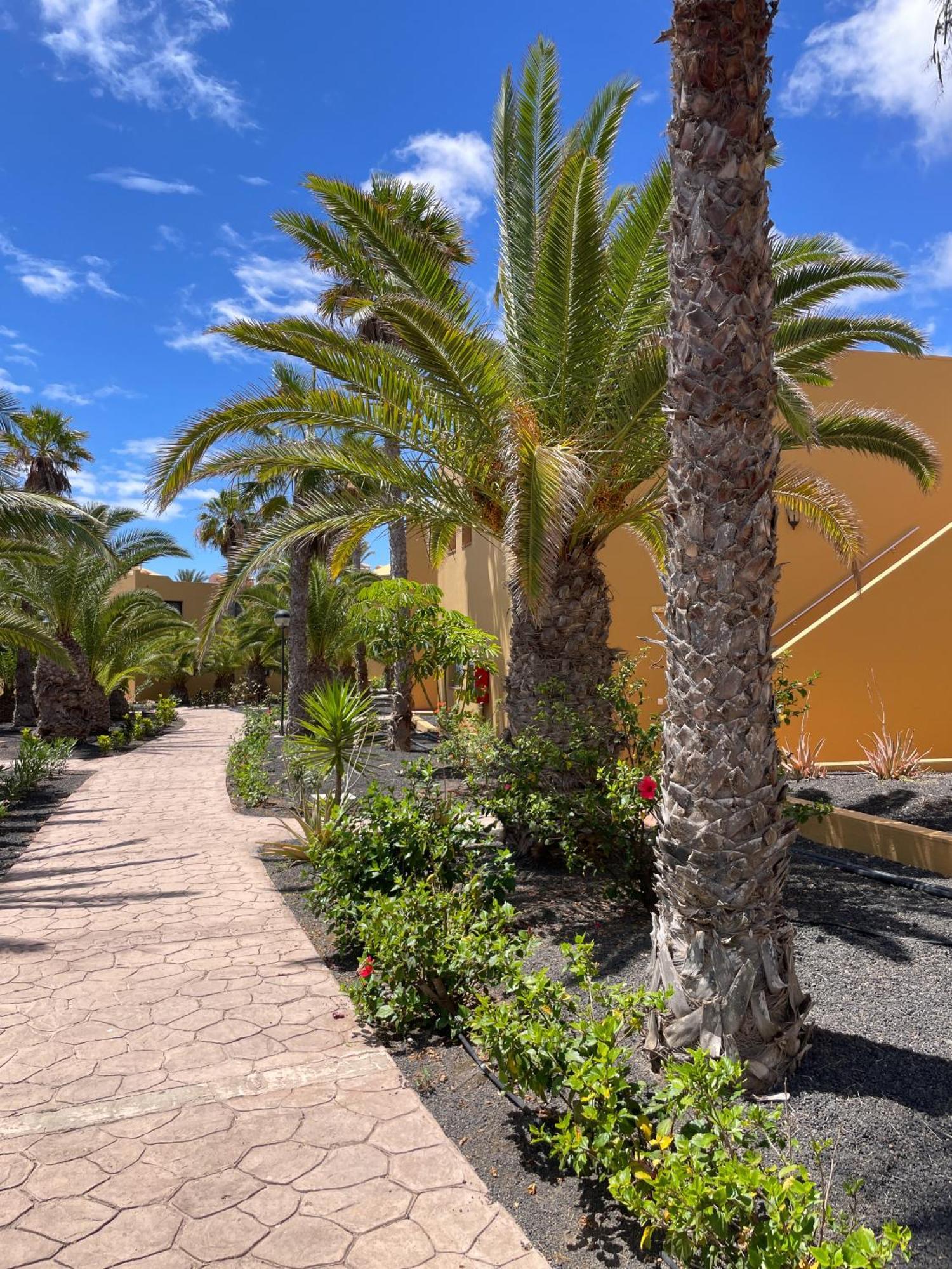 B-Rent Casa Angela Pool View Apartment Corralejo Exterior foto